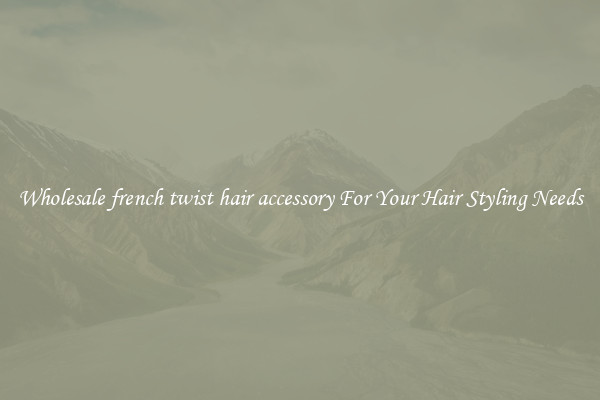 Wholesale french twist hair accessory For Your Hair Styling Needs