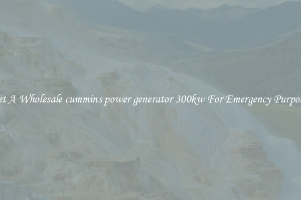 Get A Wholesale cummins power generator 300kw For Emergency Purposes