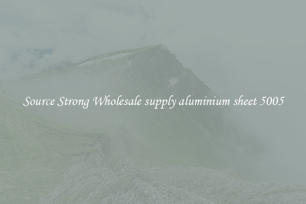 Source Strong Wholesale supply aluminium sheet 5005