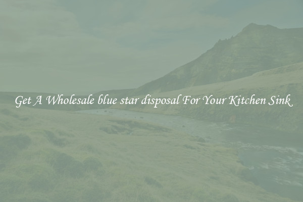 Get A Wholesale blue star disposal For Your Kitchen Sink