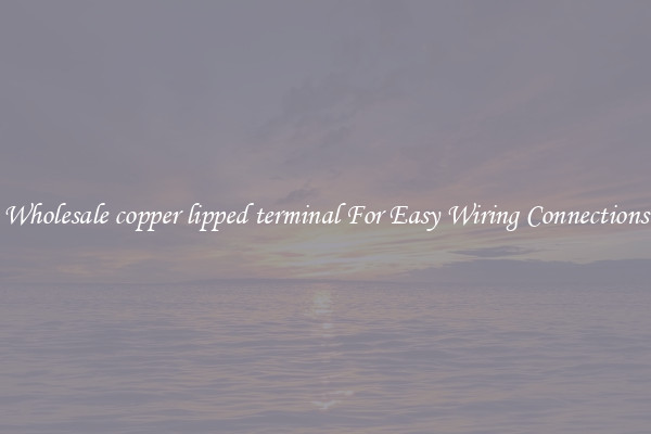 Wholesale copper lipped terminal For Easy Wiring Connections