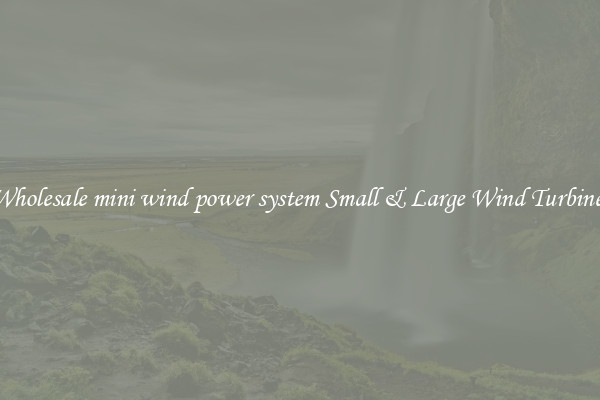 Wholesale mini wind power system Small & Large Wind Turbines