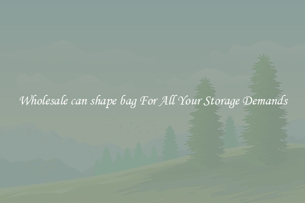 Wholesale can shape bag For All Your Storage Demands
