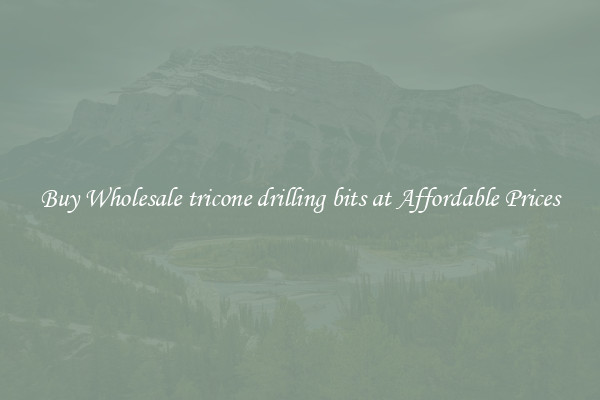 Buy Wholesale tricone drilling bits at Affordable Prices