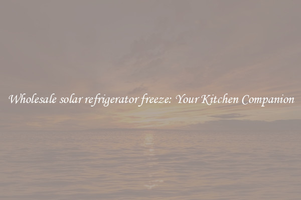 Wholesale solar refrigerator freeze: Your Kitchen Companion