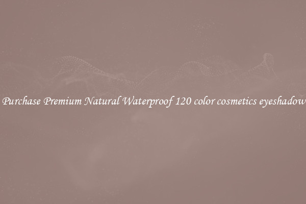 Purchase Premium Natural Waterproof 120 color cosmetics eyeshadow