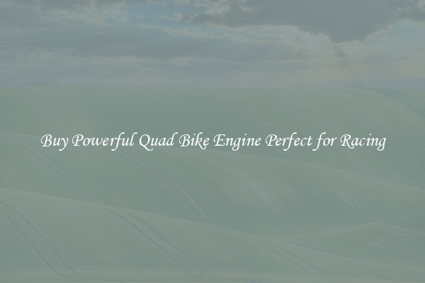Buy Powerful Quad Bike Engine Perfect for Racing