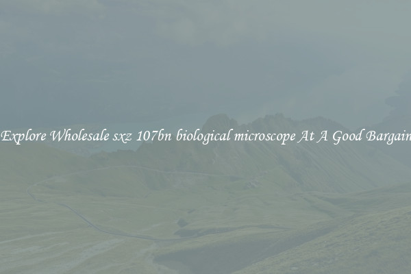 Explore Wholesale sxz 107bn biological microscope At A Good Bargain
