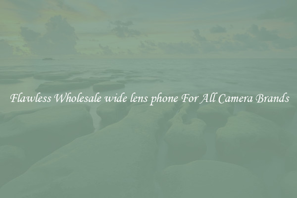 Flawless Wholesale wide lens phone For All Camera Brands