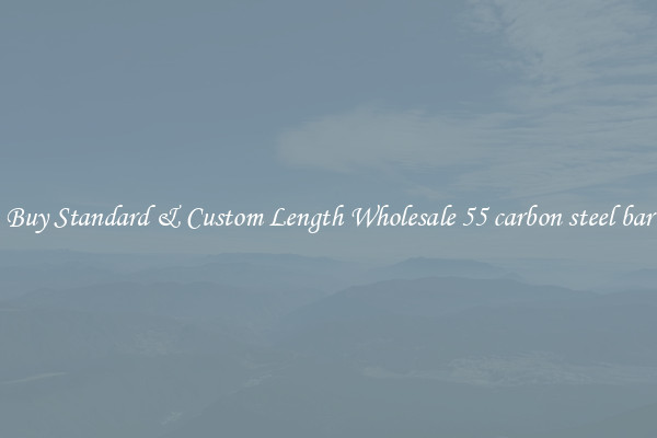 Buy Standard & Custom Length Wholesale 55 carbon steel bar