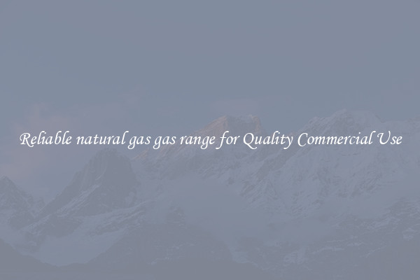 Reliable natural gas gas range for Quality Commercial Use