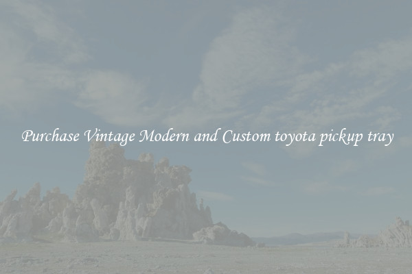 Purchase Vintage Modern and Custom toyota pickup tray