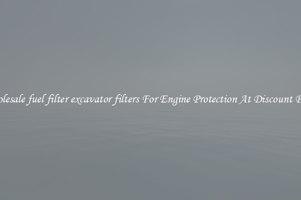 Wholesale fuel filter excavator filters For Engine Protection At Discount Prices